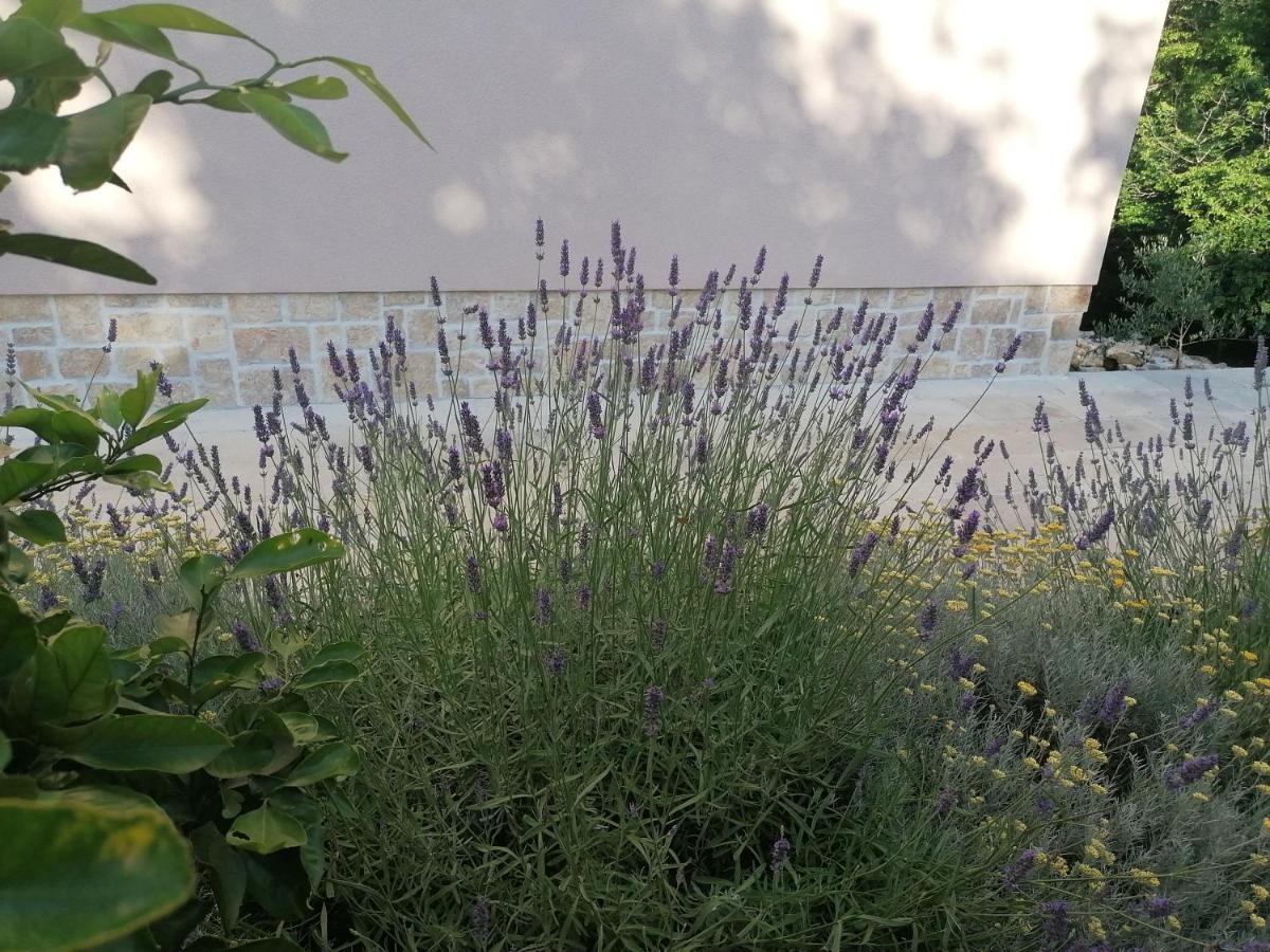 Amazing 4 Bedroom Villa With Swimming Pool And Wifi, Family Frendly Tribalj  Экстерьер фото